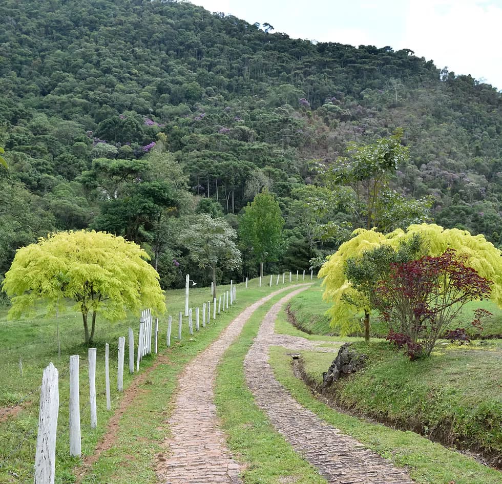 Trilhas e caminhadas pela natureza
