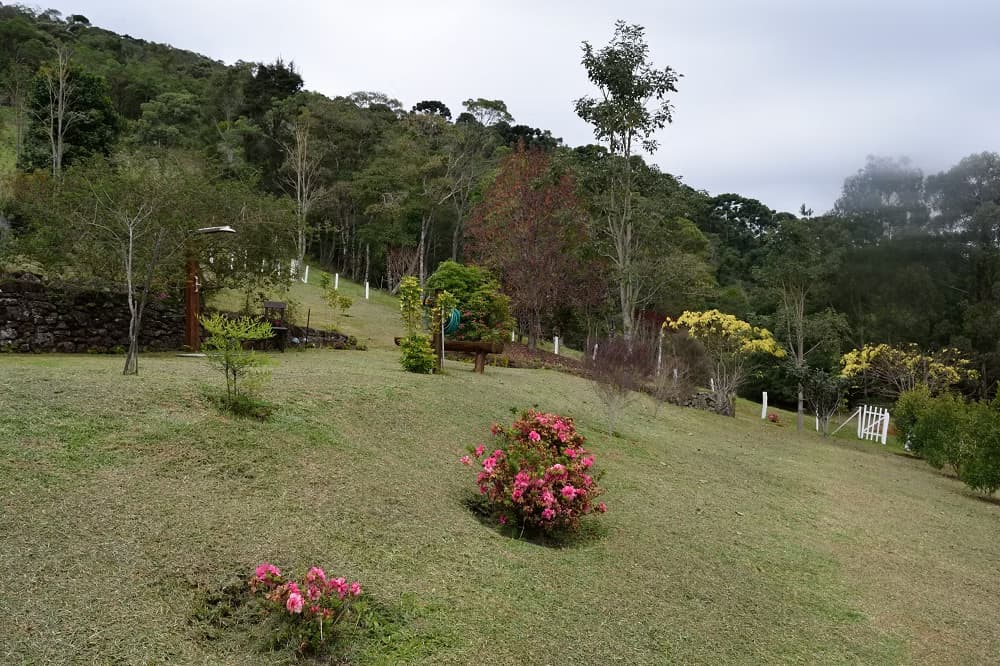 Piquenique no jardim privado